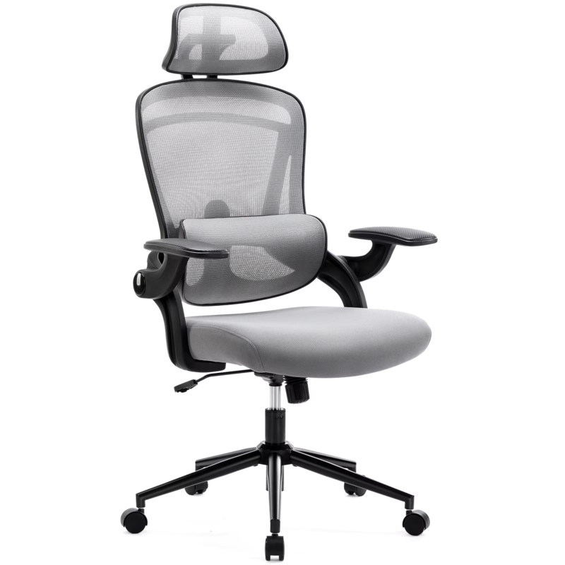 Ergonomic Mesh Office Chair, Adjustable Lumbar Support, 120° Tilt, Flip-Up Arms