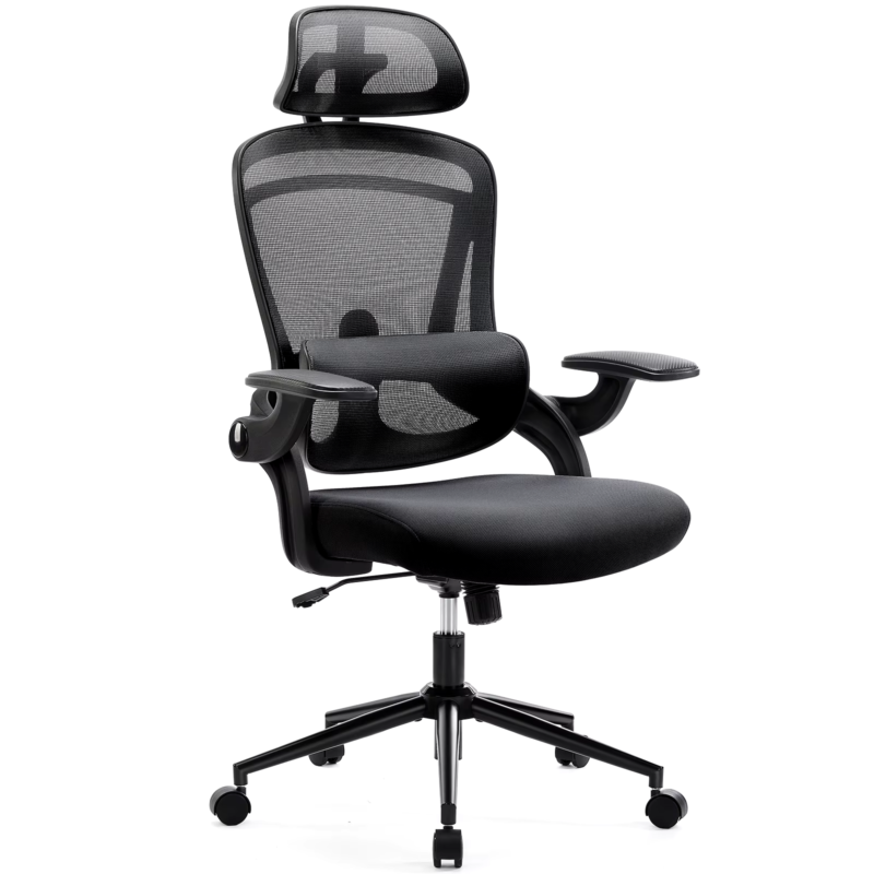 Ergonomic Mesh Office Chair, Adjustable Lumbar Support, 120° Tilt, Flip-Up Arms