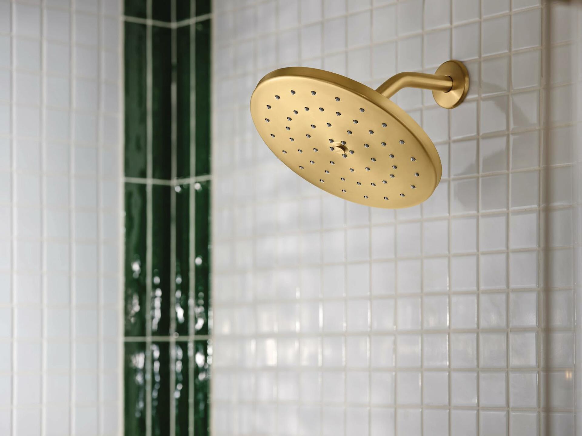 MOEN Waterhill S112BG 10-Inch Single Function Rainshower Showerhead with Immersion Rainshower Technology in Brushed Gold