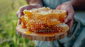 The Golden Wonder Know About Honey