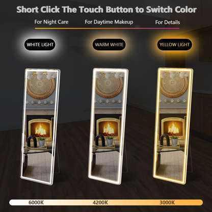 LED Full-Length Mirror, Standing, Hanging, Wall-Mounted, Aluminum Frame, 64" x 21"