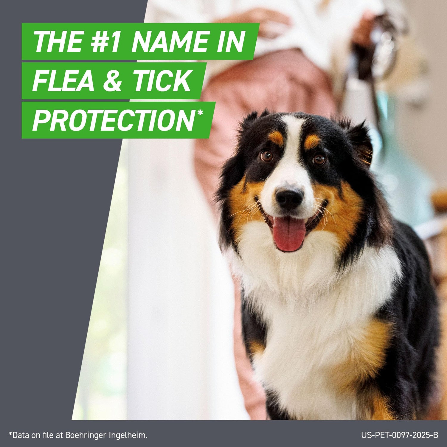 Frontline Plus for Dogs Medium Dog (23-44 pounds) Flea and Tick Treatment, 6 Doses