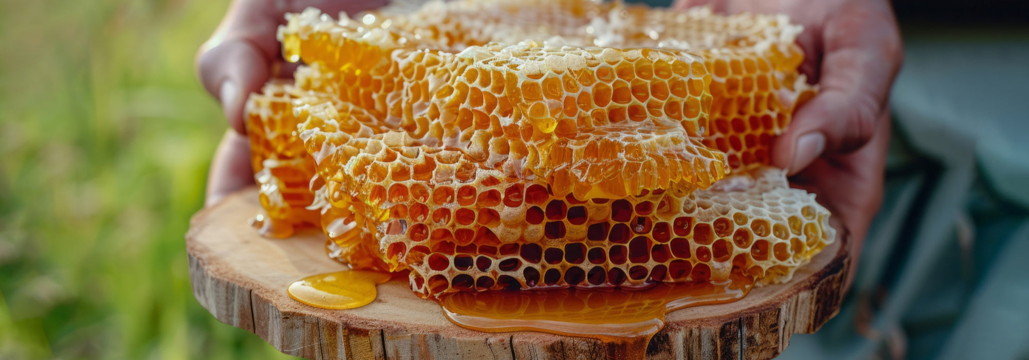 slider image 1621243260e1af0c20-0