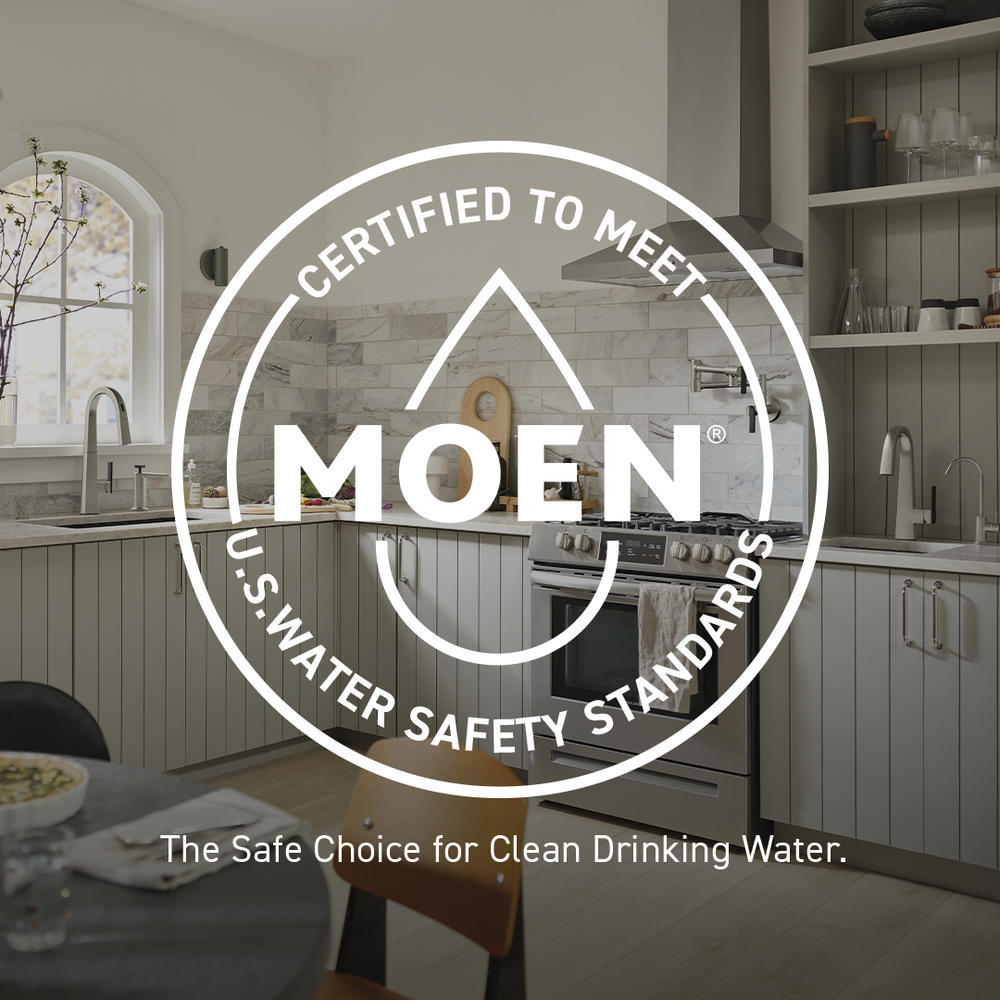 MOEN Adler 87605 Single-Handle Low-Arc Standard Kitchen Faucet with Side Sprayer in Chrome