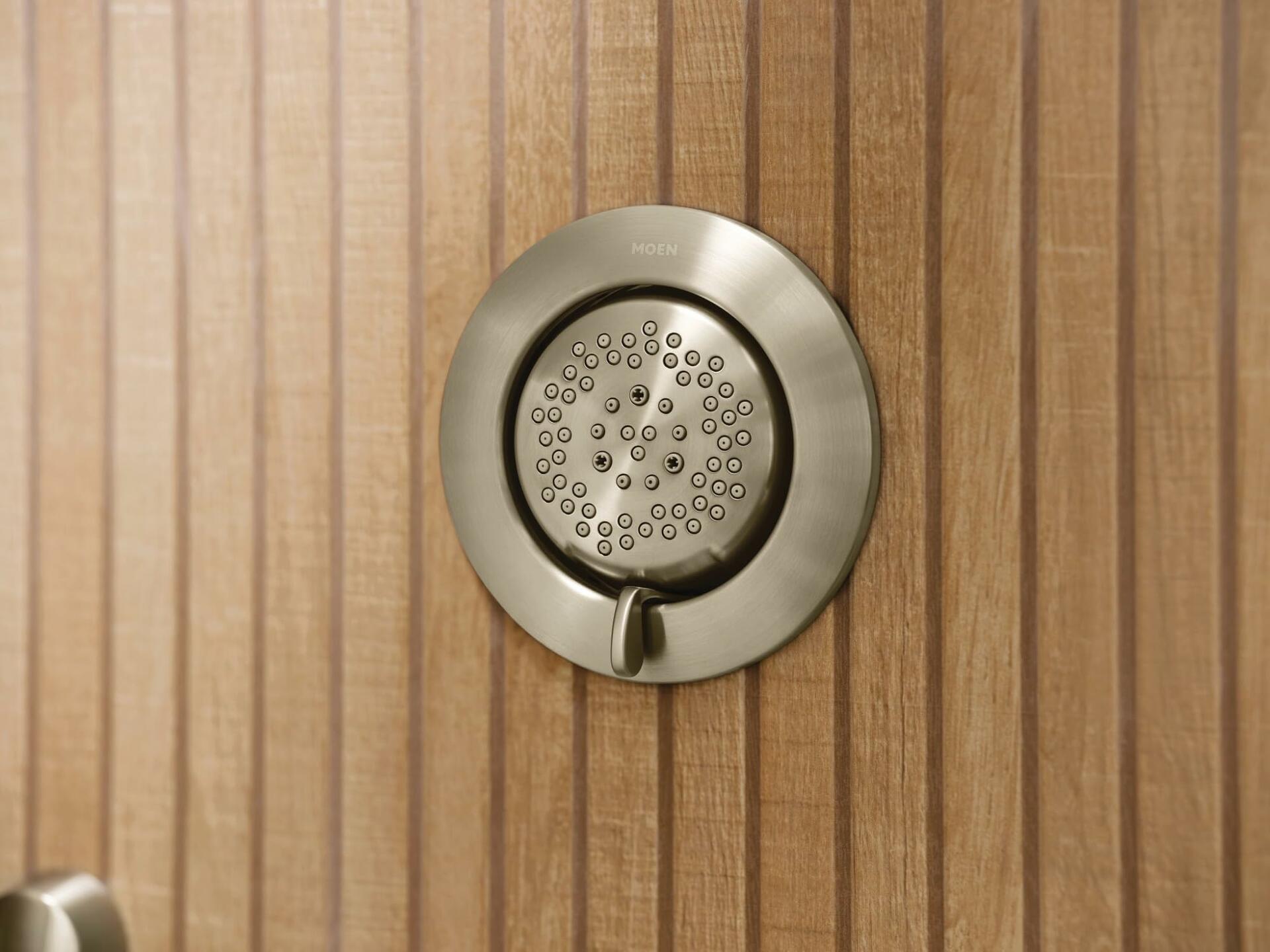 MOEN Mosaic TS1422BN Two-Function 3.25-Inch Diameter Head Body Spray in Brushed Nickel